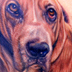 tattoo galleries/ - Henry the Dog Portrait - 46499